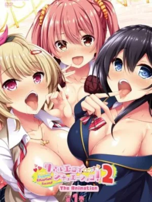 Cover image of Real Eroge Situation! 2 The Animation