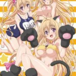 Baka na Imouto wo Rikou ni Suru no wa Ore no XX Dake na Ken ni Tsuite