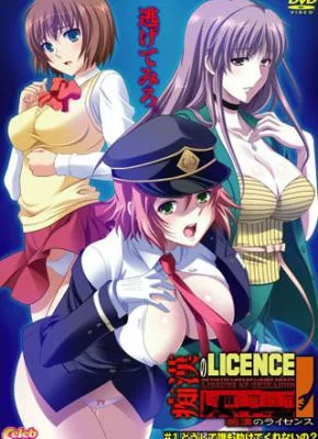 Cover image of Chikan no Licence