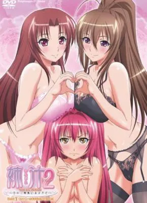 Cover image of Anejiru 2 The Animation: Shirakawa Shimai ni Omakase
