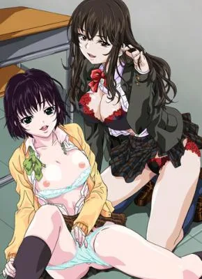 Cover image of Shiiba-san no Ura no Kao