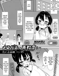 Cover image of MESUGAKI NI SAIKYOUIKU O!!