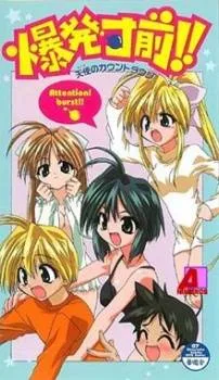 Cover image of Countdown to Delight