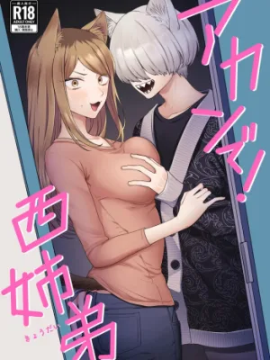 Cover image of Akan de! Nishi Kyoudai