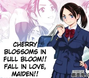 Cover image of Cherry Blossoms in Full Bloom!! Fall in Love, Maiden!!