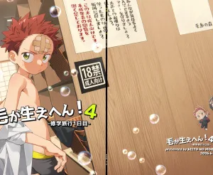 Cover image of Ke ga Haehen! 4