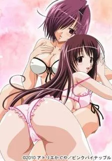 Cover image of Kateikyoushi no Onee-san 2 The Animation: H no Hensachi Agechaimasu