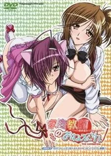 Cover image of Kateikyoushi no Onee-san The Animation: H no Hensachi Agechaimasu