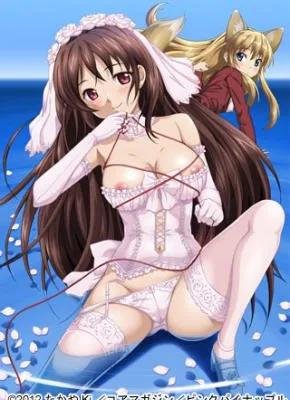 Cover image of Koiito Kinenbi: The Animation