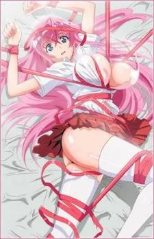 Cover image of Otome Dori