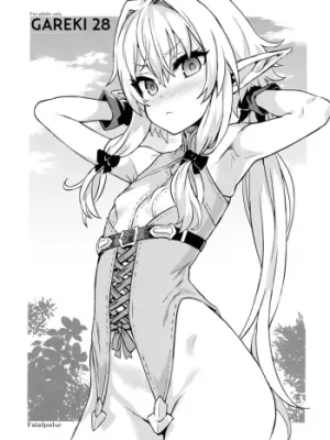 Cover image of Gareki 28
