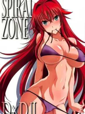 Cover image of SPIRAL ZONE DxD II