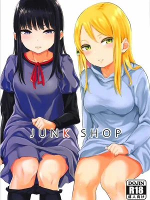 Cover image of JUNK SHOP