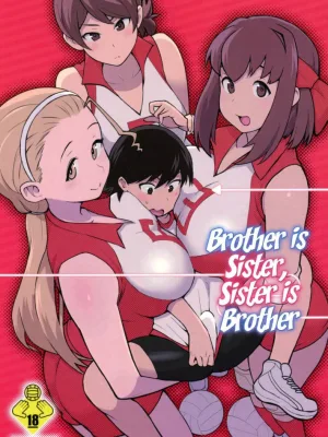 Cover image of Ani ga Watashi de Watashi ga Ani de