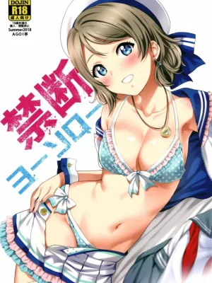 Cover image of Kindan Yousoro