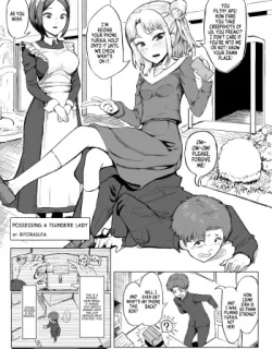Cover image of POSSESSING A TSUNDERE LADY
