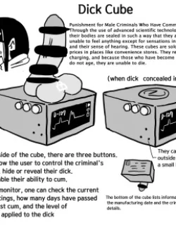 Cover image of DICK CUBE 1+2