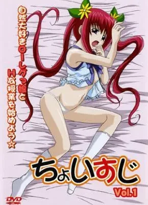 Cover image of Choisuji