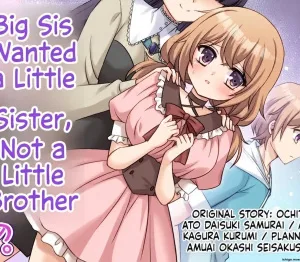 Cover image of Big Sis Wanted a Little Sister, Not a Little Brother