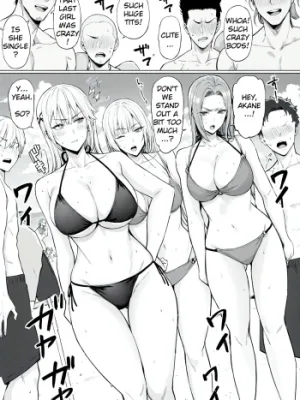 Cover image of I Possessed the Class Yankee Girl