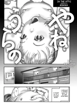 Cover image of Yaneura no | In the attic