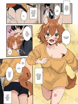 Cover image of Kimi to Issho